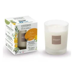 Bougies Parfumées|Bougies Décoratives<ESTEBAN Bougie parfumée 180 gr Ambre et Baume,