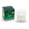Bougies Parfumées|Bougies Décoratives<ESTEBAN Bougie parfumée 450g Sapin exquis,