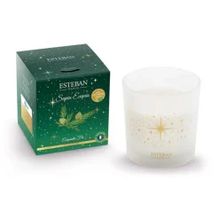 Bougies Parfumées|Bougies Décoratives<ESTEBAN Bougie parfumée 450g Sapin exquis,