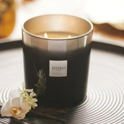 Bougies Parfumées|Bougies Décoratives<ESTEBAN Bougie parfumée 450g Vanille d'Or,