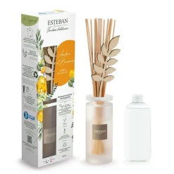 Diffuseurs De Parfum D'Intérieur<ESTEBAN Bouquet parfumé Ambre et Baume,