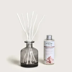 Diffuseurs De Parfum D'Intérieur<MAISON BERGER Bouquet parfumé Aroma Dream,