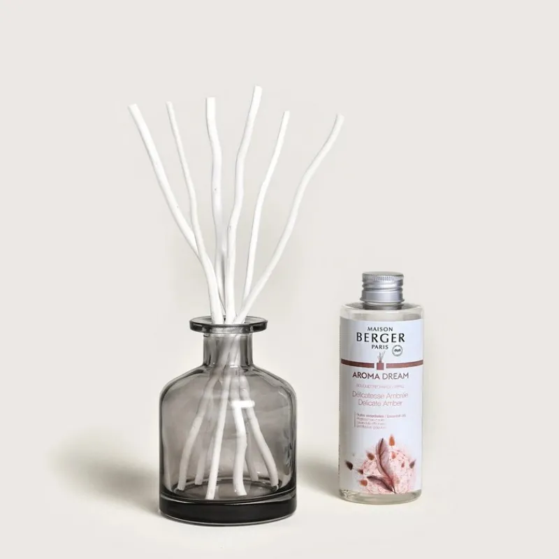 Diffuseurs De Parfum D'Intérieur<MAISON BERGER Bouquet parfumé Aroma Dream,