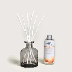 Diffuseurs De Parfum D'Intérieur<MAISON BERGER Bouquet parfumé Aroma Energy,