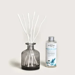 Diffuseurs De Parfum D'Intérieur<MAISON BERGER Bouquet parfumé Aroma Happy,