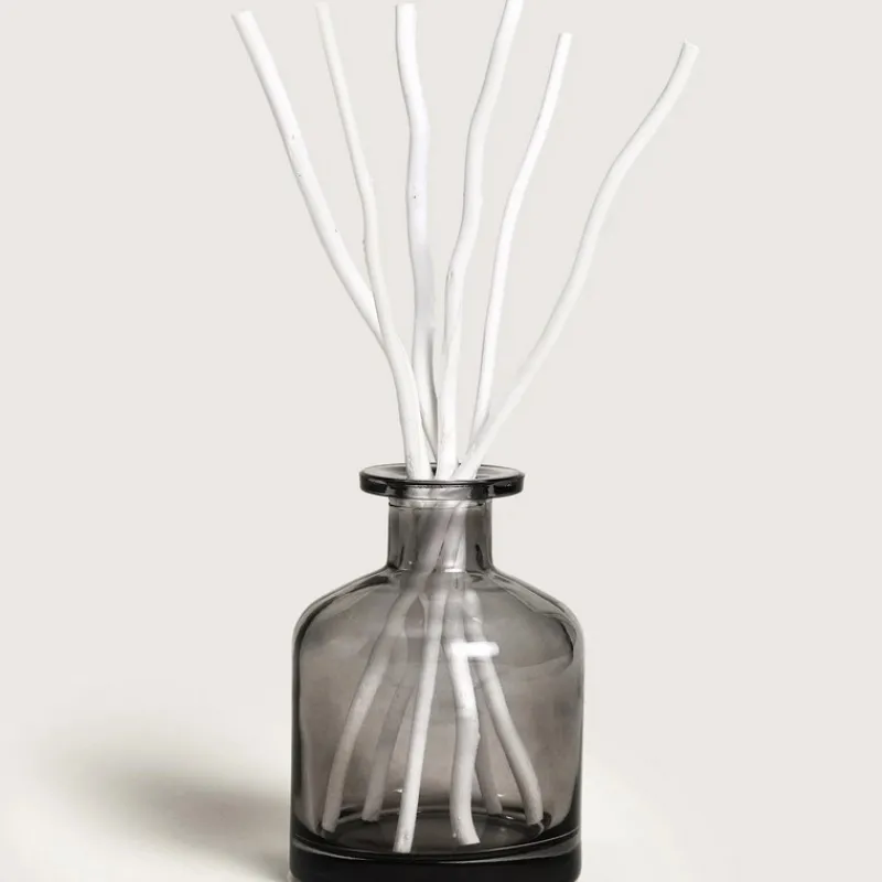 Diffuseurs De Parfum D'Intérieur<MAISON BERGER Bouquet parfumé Aroma Relax,