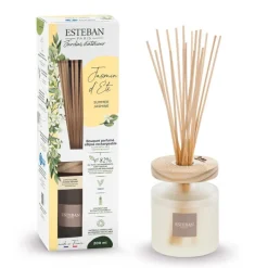Diffuseurs De Parfum D'Intérieur<ESTEBAN Bouquet parfumé Ellipse Jasmin d'été 200ml,