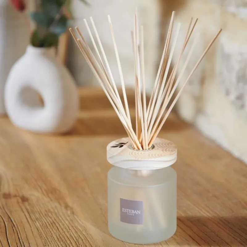 Diffuseurs De Parfum D'Intérieur<ESTEBAN Bouquet parfumé Ellipse Jasmin d'été 200ml,