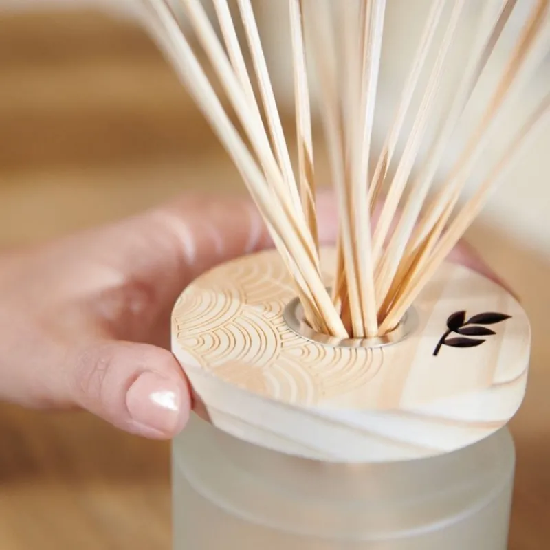 Diffuseurs De Parfum D'Intérieur<ESTEBAN Bouquet parfumé Ellipse Orange et Thé Vert 200ml,