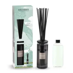 Diffuseurs De Parfum D'Intérieur<ESTEBAN Bouquet parfumé Initial Pur Lin,