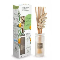 Diffuseurs De Parfum D'Intérieur<ESTEBAN Bouquet parfumé Orange et Thé vert,
