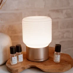Diffuseurs De Parfum D'Intérieur<GEODESIS Brumisateur de parfum,