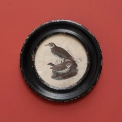 Décorations Murales<Chehoma Cadre rond Oiseau Long Bec,