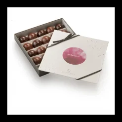 Le Chocolat<Vincent Guerlais Coffret 25 Caramelis,