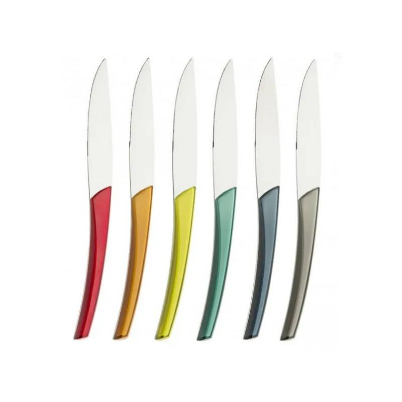 Couteaux<Degrenne Paris Coffret 6 couteaux à steak Quartz Multicolore, Guy Degrenne