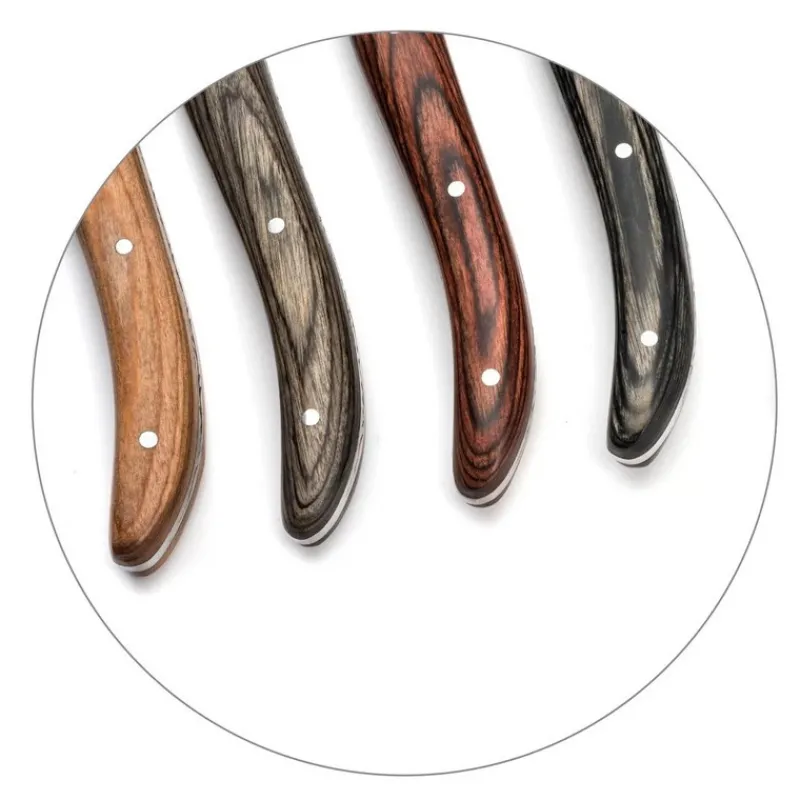 Couteaux<AMEFA Coffret 6 Couteaux Steak Louis Lou Laguiole®,