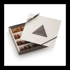 Le Chocolat<Vincent Guerlais Coffret 20 Guerlingots,