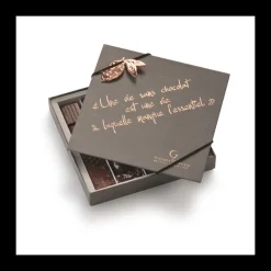 Le Chocolat<Vincent Guerlais Coffret de 23 chocolats Edition "Citation",