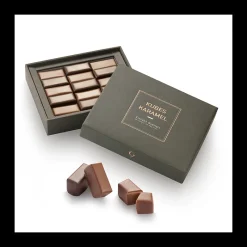 Le Chocolat<Vincent Guerlais Coffret Mini-Ardises Kube Karamel,
