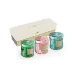 Les Thés Et Tisanes<DAMMANN FRERES Coffret "Noëls du Monde", Dammann Frères