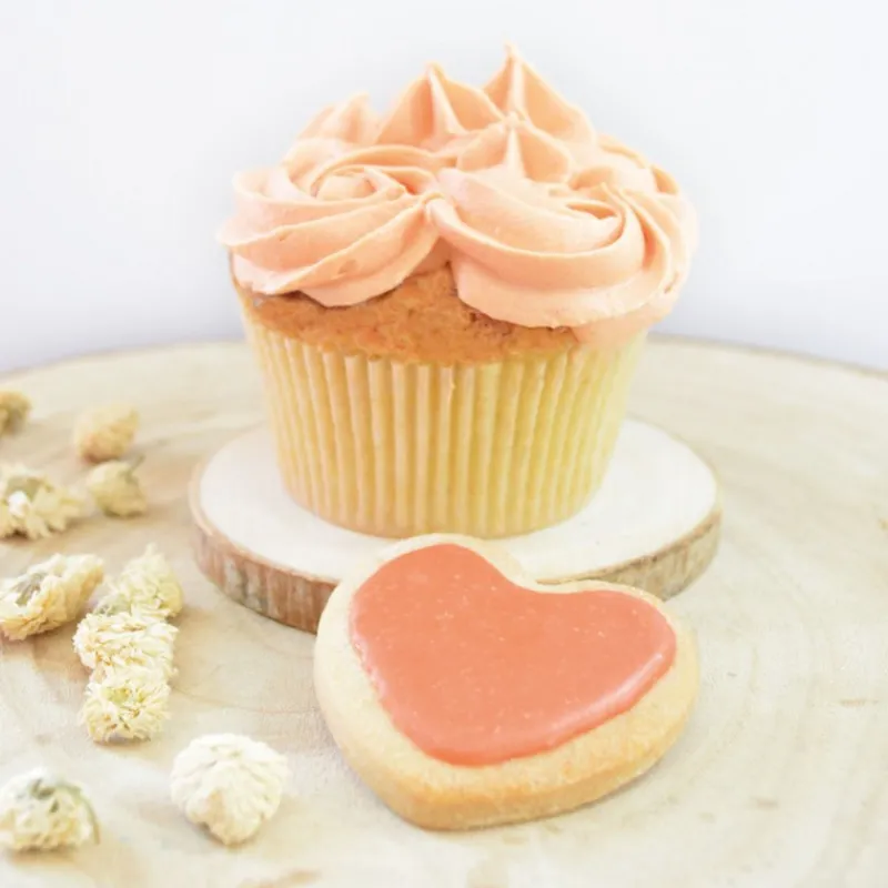 Arômes Et Colorants<ScrapCooking Colorant alimentaire naturel en poudre Terracotta,