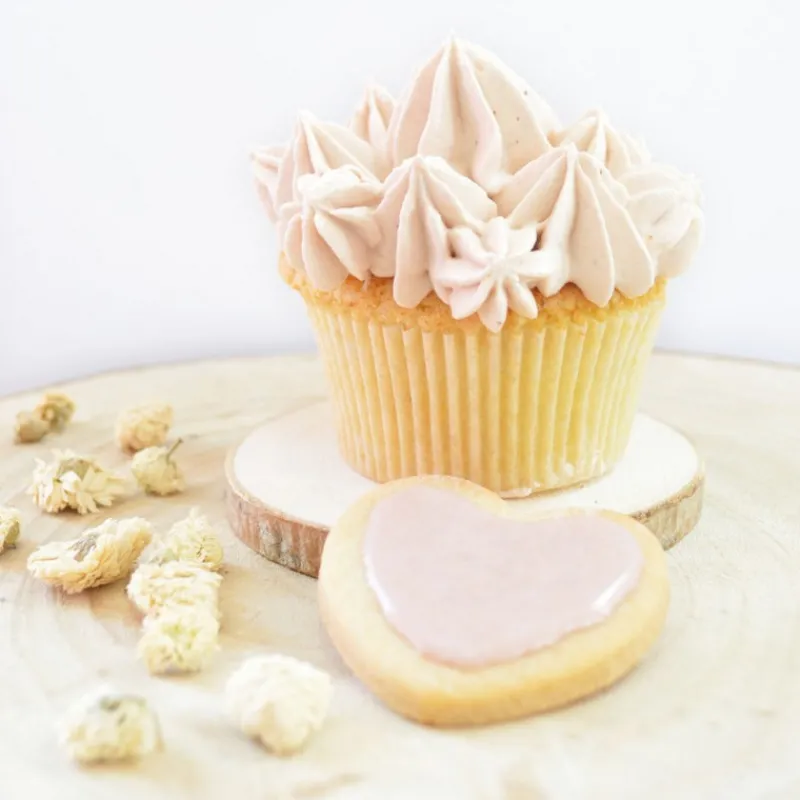 Arômes Et Colorants<ScrapCooking Colorant alimentaire naturel en poudre Lin,