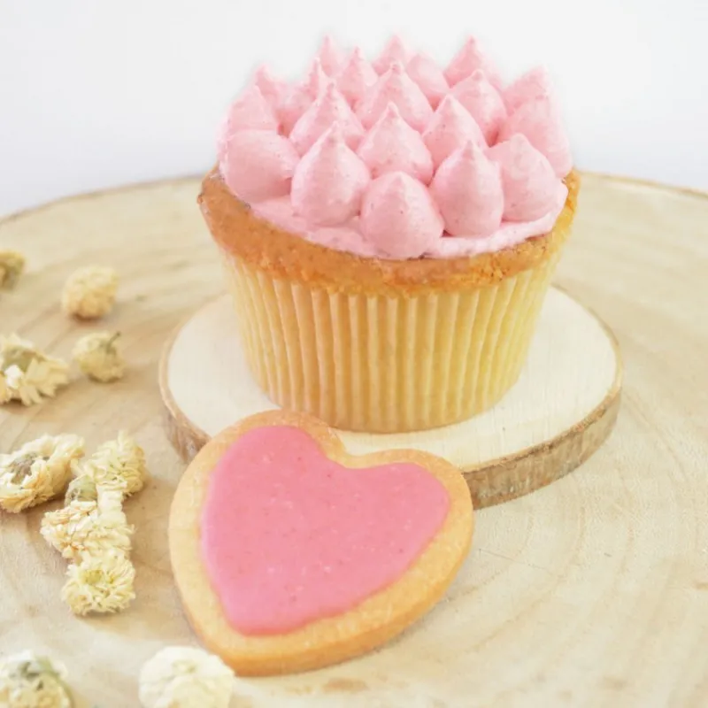 Arômes Et Colorants<ScrapCooking Colorant alimentaire naturel en poudre Blush,