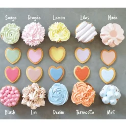 Arômes Et Colorants<ScrapCooking Colorant alimentaire naturel en poudre Mint,