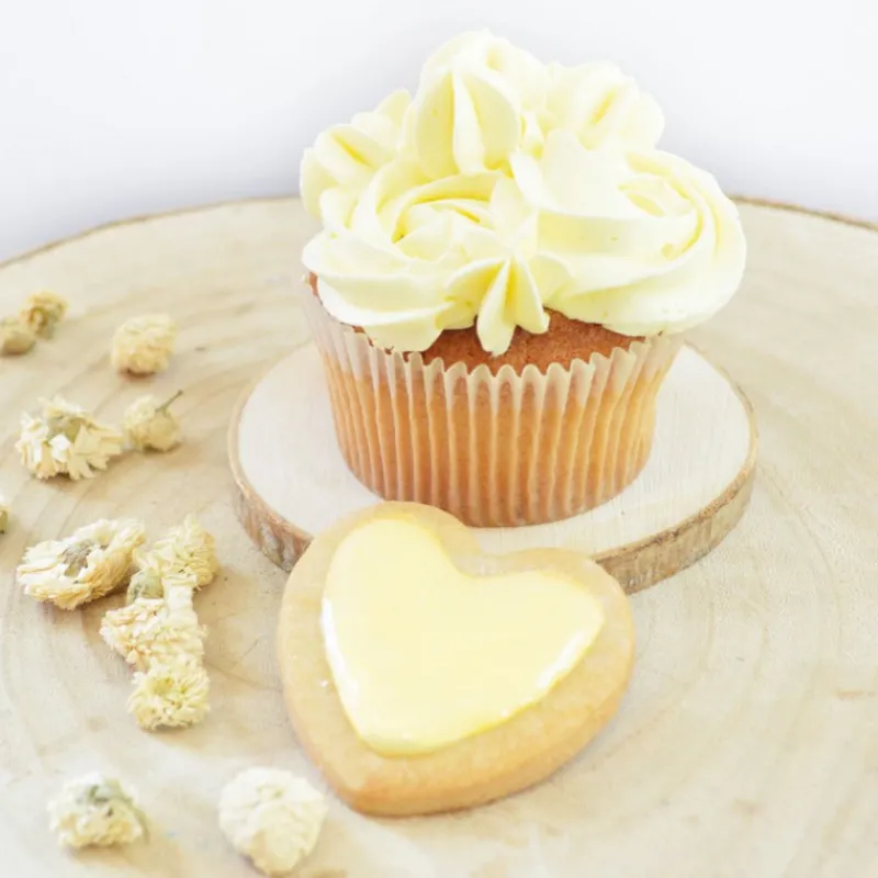 Arômes Et Colorants<ScrapCooking Colorant alimentaire naturel en poudre Lemon,