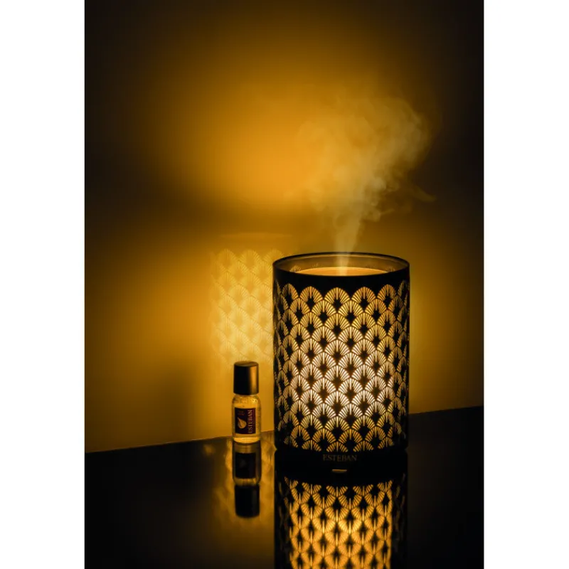 Diffuseurs De Parfum D'Intérieur<ESTEBAN Diffuseur brume Edition Noir & Lumière,