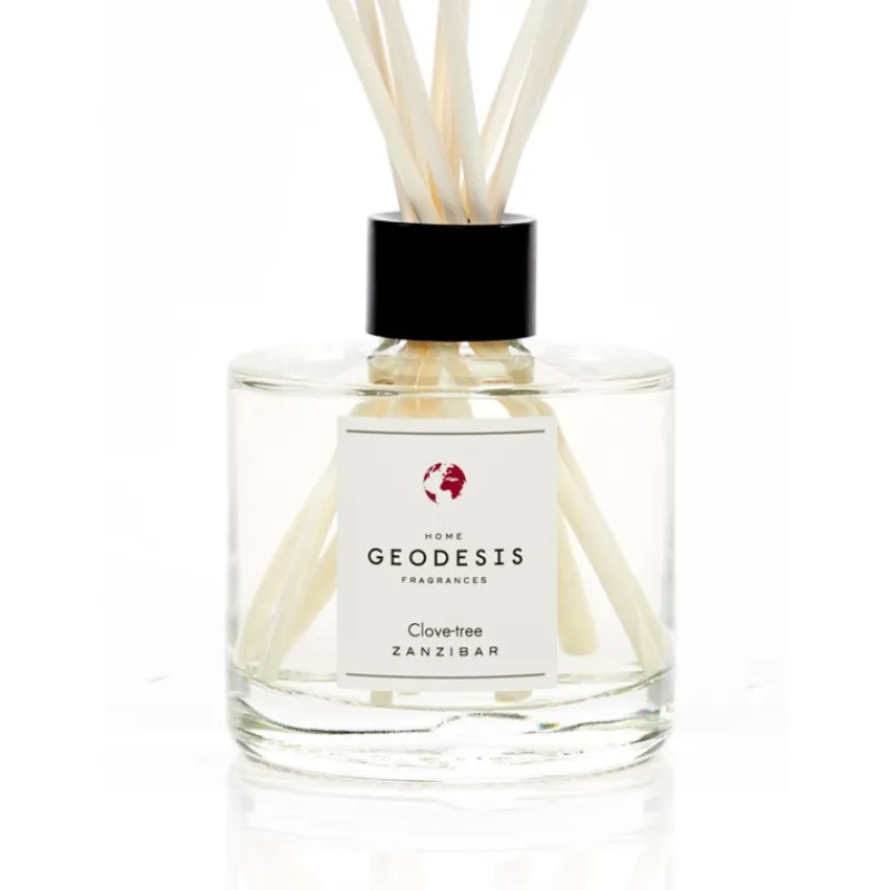 Diffuseurs De Parfum D'Intérieur<GEODESIS Diffuseur de parfum Giroflier,