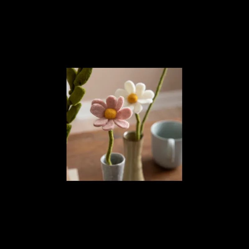 Objets Insolites<Gry & Sif Fleur Anemone,