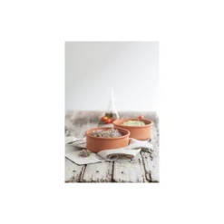 Ustensiles Pour La Salade<Point Virgule Germoir à étages en terre cuite,