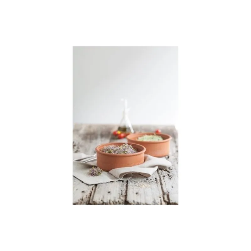 Ustensiles Pour La Salade<Point Virgule Germoir à étages en terre cuite,