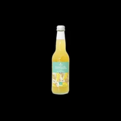 Les Autres Boissons<Atika Kombucha Citron et Gingembre Bio 33cl,