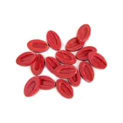 Les Ingrédients Du Pâtissier|Le Chocolat<VALRHONA Le fruit à pâtisser Fraise,