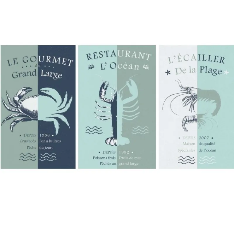 Torchons<Sud Etoffe Lot de 3 torchons Océan,