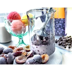 Mixeurs<Bamix Mixeur classic M120 Pop Noir,