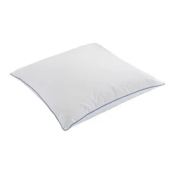 Oreillers, Traversins<DROUAULT Oreiller mi-ferme Léo,