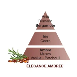 Parfums D'Intérieur<MAISON BERGER Parfum Élégance Ambrée,