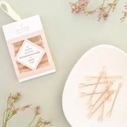 Les Accessoires<Bachca Pinces Guiches x24,