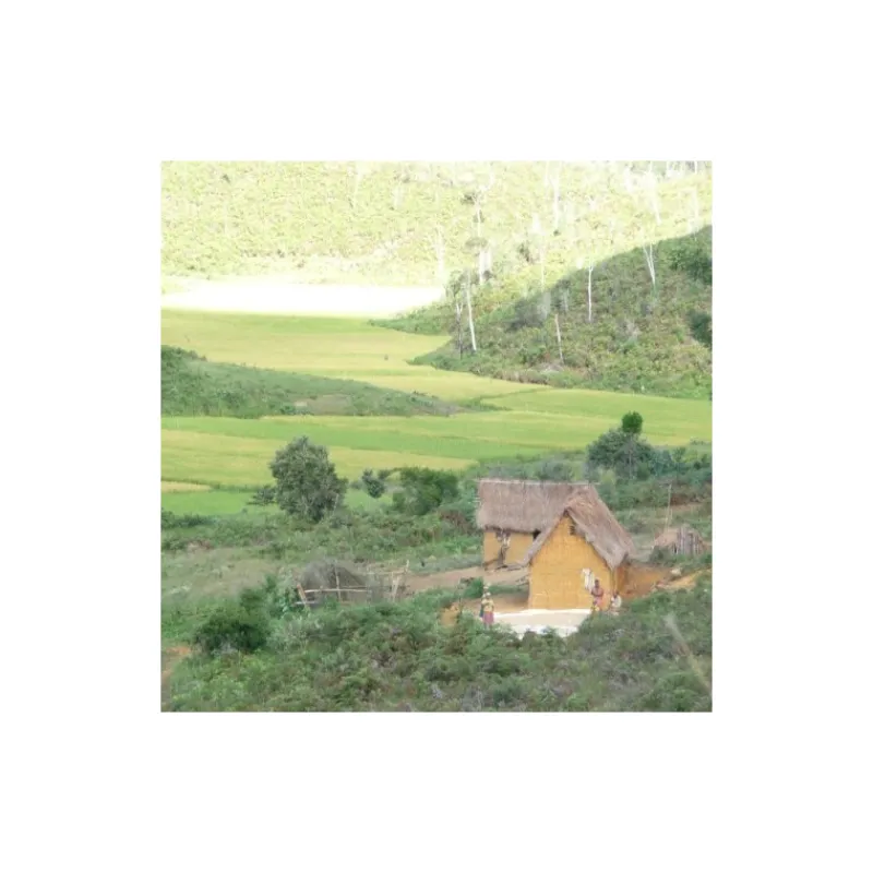 Épices & Condiments<Terre Exotique Poivre sauvage Voatsiperifery,