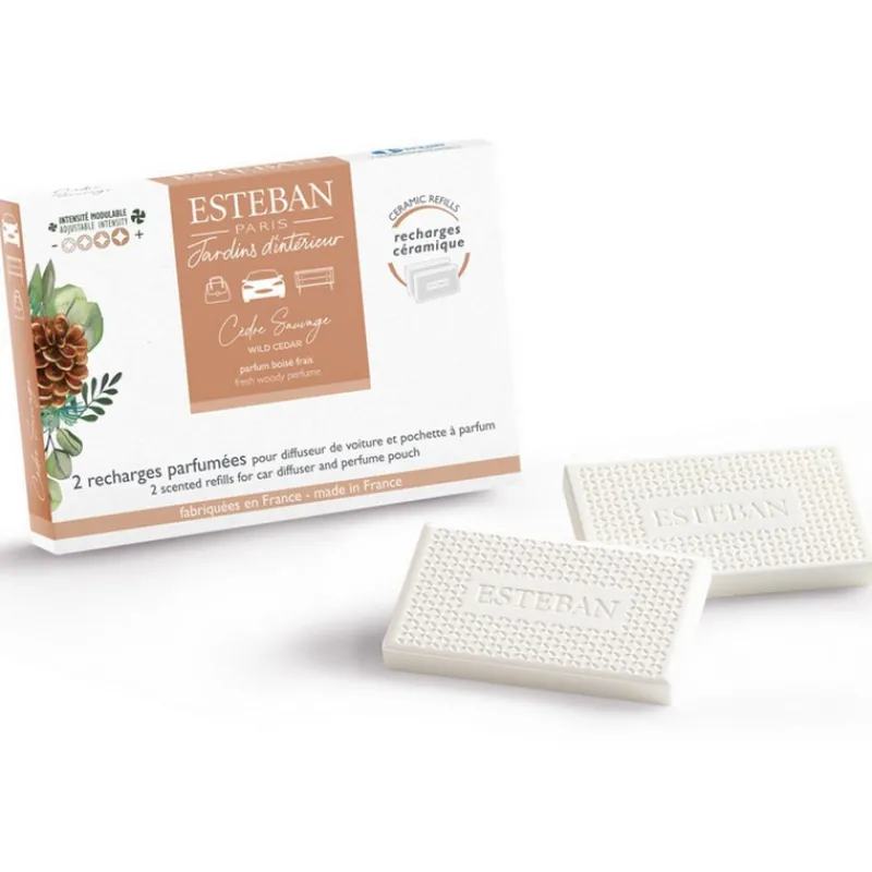Diffuseurs De Parfum D'Intérieur<ESTEBAN Recharge parfumée pour diffuseur de voiture Cèdre Sauvage,