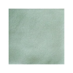 Serviettes En Papier<Françoise PAVIOT Serviettes en papier Uni Vert sauge,