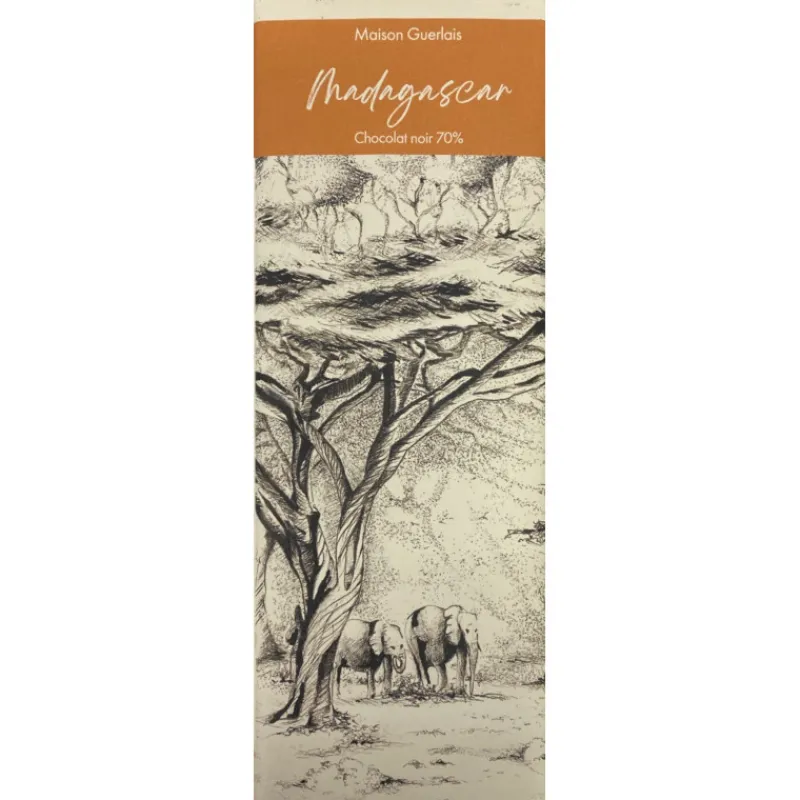 Le Chocolat<Vincent Guerlais Tablette chocolat noir Pure Origine Madagascar 70%,