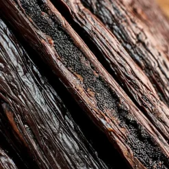 Les Ingrédients Du Pâtissier<VALRHONA Tube de 3 gousses de vanille bio de Madagascar, Norohy