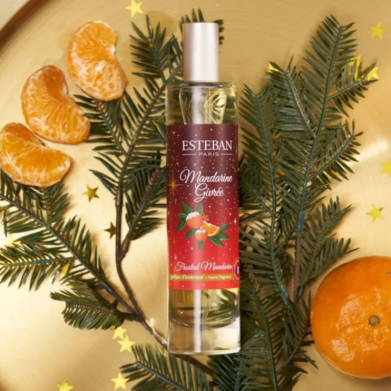 Diffuseurs De Parfum D'Intérieur<ESTEBAN Vaporisateur 75 ml Mandarine Givrée, Estéban