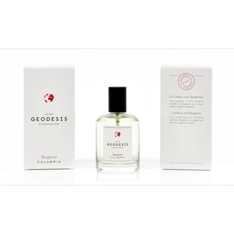 Diffuseurs De Parfum D'Intérieur<GEODESIS Vaporisateur de parfum Bergamote,