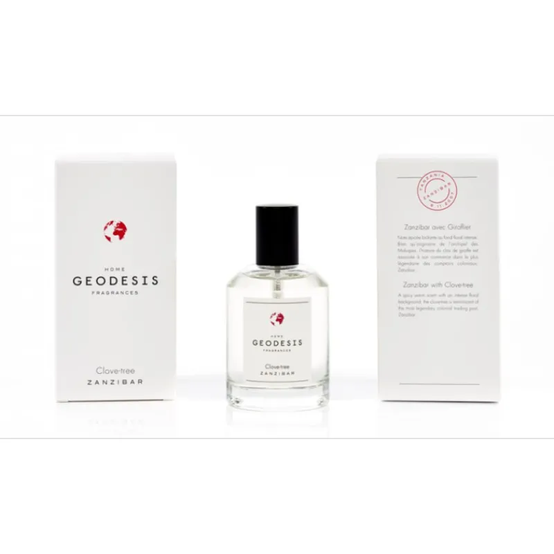 Diffuseurs De Parfum D'Intérieur<GEODESIS Vaporisateur de parfum Giroflier,